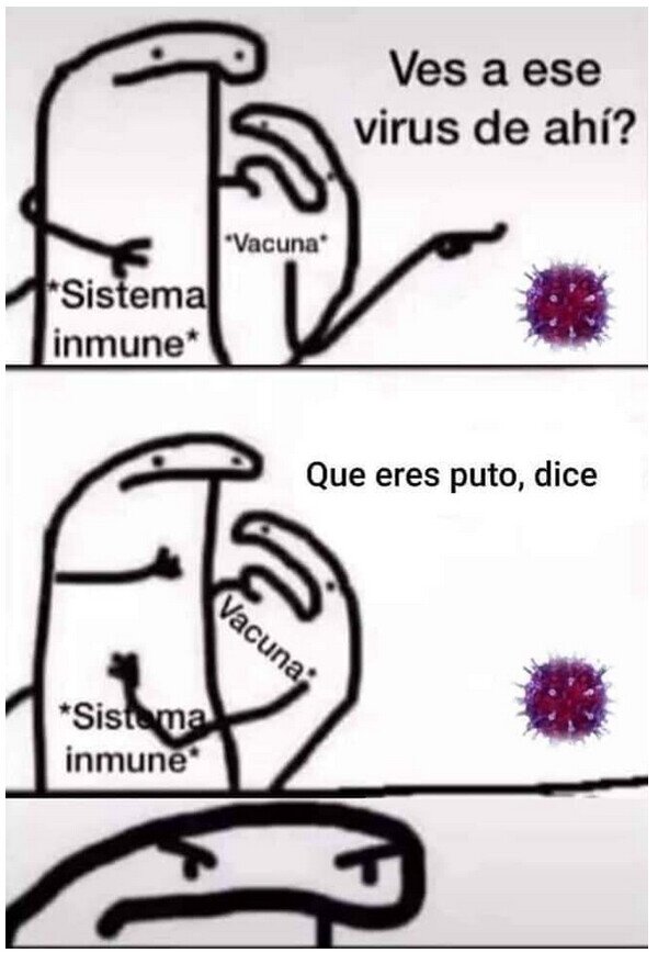 coronavirus,immune,sistema,vacuna