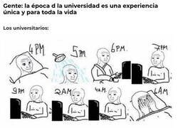Enlace a La vida universitaria