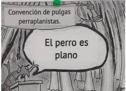 Enlace a Mientras tanto, en el lomo de algún perro...