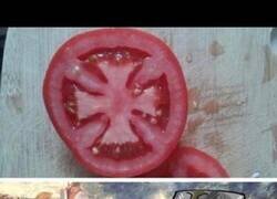 Enlace a El tomate templario