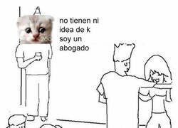 Enlace a ¡No soy un gato!