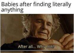 Enlace a ¿Por qué los niño se lo tienen que llevar todo a la boca?