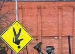 Enlace a Todo un malote