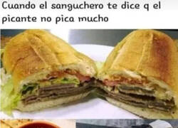 Enlace a Ayuda, por favor...