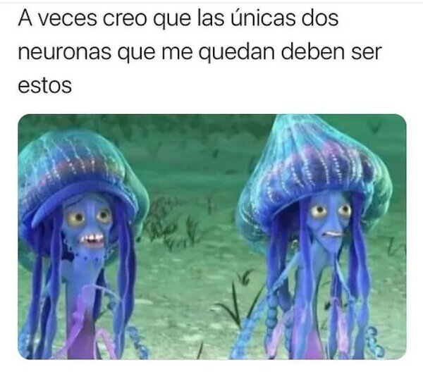 Meme_otros - ¿Recordáis las medusas de 'El espantatiburones'?