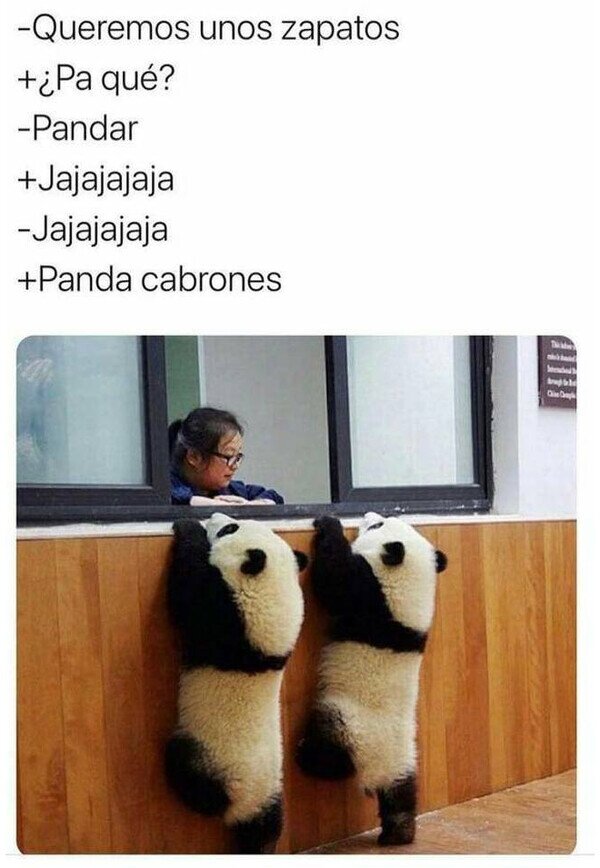 Meme_otros - ¡Menuda panda!
