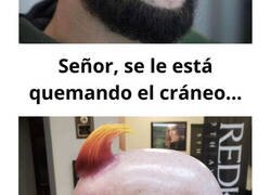Enlace a Personas que deberían cambiar de estilista
