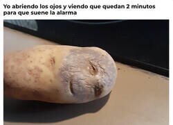 Enlace a Un nuevo día empieza...