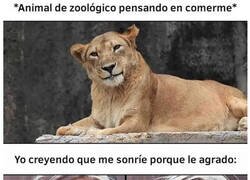 Enlace a Cuando me sonríe un animal del zoo