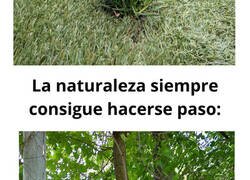 Enlace a Momentos en los que la naturaleza ganó la partida a la civilización