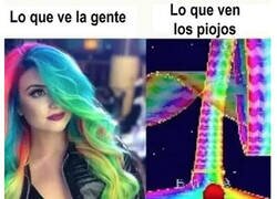 Enlace a ¡Senda Arcoiris!