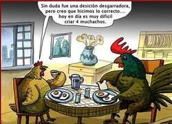 Enlace a No en todos los sitios se comen los huevos fritos tan tranquilamente