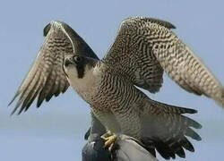 Enlace a Cuando te das cuenta de que te equivocaste de bus