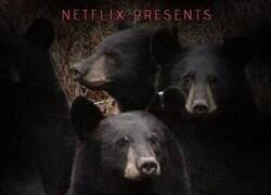 Enlace a Si Netflix estrenara un documental de osos polares