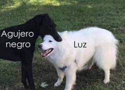 Enlace a Enseñado así, se entiende mejor