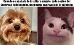 Enlace a Igual que en el fútbol, pero sin patadas...