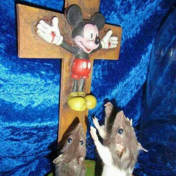 creer,dios,Mickey Mouse,ratones,religión