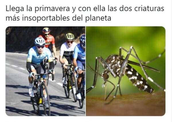 ciclistas,criaturas,mosquitos,primavera