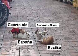 Enlace a Así nos va...