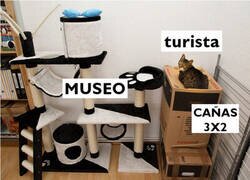 Enlace a Los turistas que llegan últimamente a España