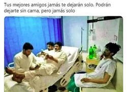 Enlace a Gracias amigos