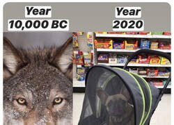 Enlace a ¿Por qué se han dejado hacer estas cosas?