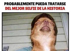 Enlace a Un selfie lleno de fantasía