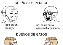 Enlace a Diferencias