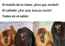 Enlace a ¡Eso en mi pique es pueblo!