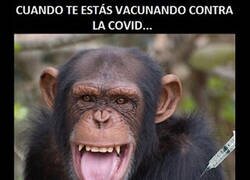 Enlace a Las vacunas contra la covid no están siendo tan efectivas como se pensaba, o igual sí...