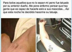 Enlace a Acompañenme a ver esta triste historia
