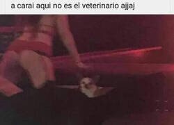 Enlace a Ups, que fallo...