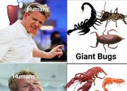 Enlace a ¿El nuevo marisco?