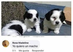 Enlace a No es el momento, señora