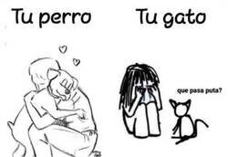 Enlace a Diferencias