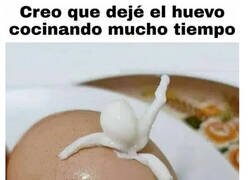 Enlace a Salió del cascarón para decirme basta