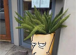 Enlace a La maceta perfecta no exi...