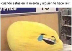 Enlace a Esa risa hundida