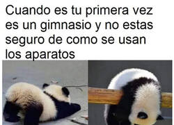 Enlace a Cuando quiero ponerme en forma pero mi forma es redonda