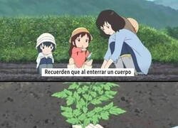 Enlace a Un consejo para la vida y para lo que ya no la tiene