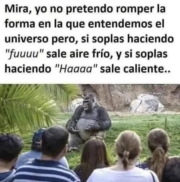 Meme_otros - El gorila sabio