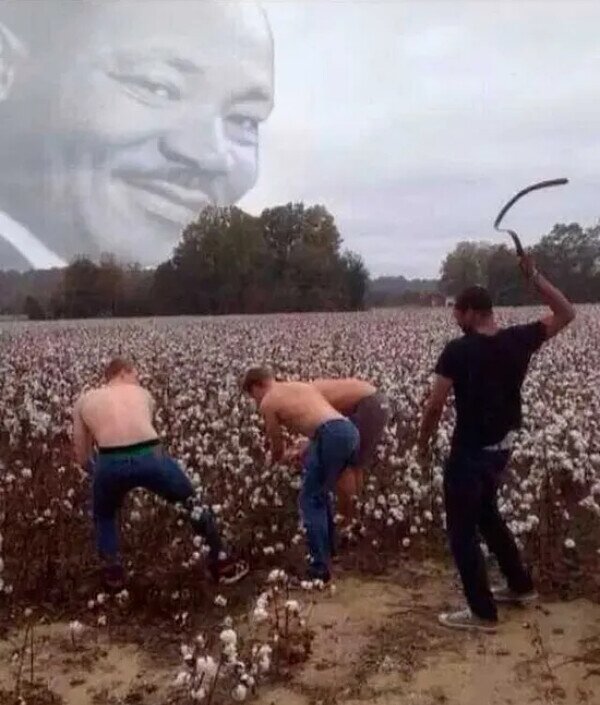 Meme_otros - Martin Luther King estaría orgulloso