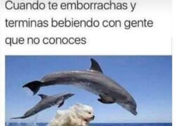 Enlace a Podría acabar con cualquiera