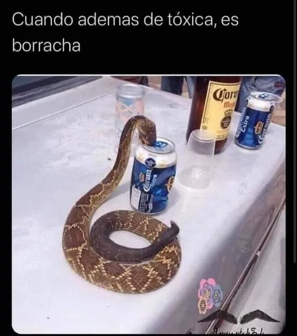 borracha,cerveza,novia,serpiente,tóxica