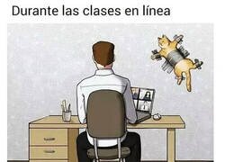 Enlace a Para que no alborote