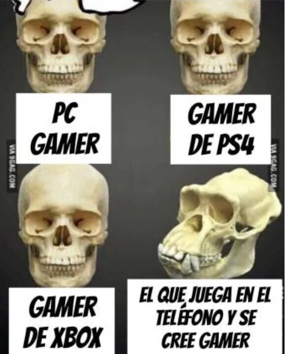 Otros - Hay gamers y GAMERS