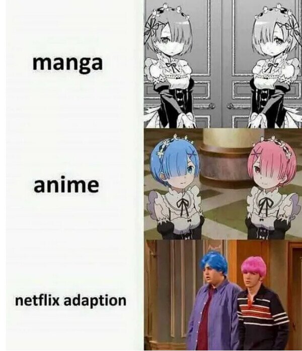 Meme_otros - Netflix adaptation