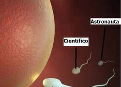 Enlace a Pero llegué primero...