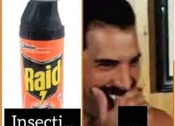 Enlace a ¿Qué me estás Queentando?