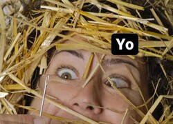 Enlace a La aguja en el pajar